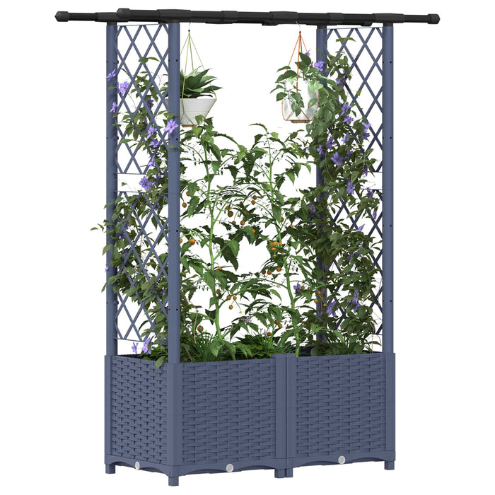 Pat Ridicat cu Trellis și Acoperiș Gri 124,5 x 40 x 138 cm PP WALTI