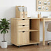 Cabinet mobil Maro 63,5 x 39 x 65,5 cm Lemn de pin masiv - WALTI WALTI