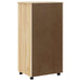 Dulap mobil cu sertare MOSS Lac transparent 53 x 39 x 103 cm - WALTI WALTI