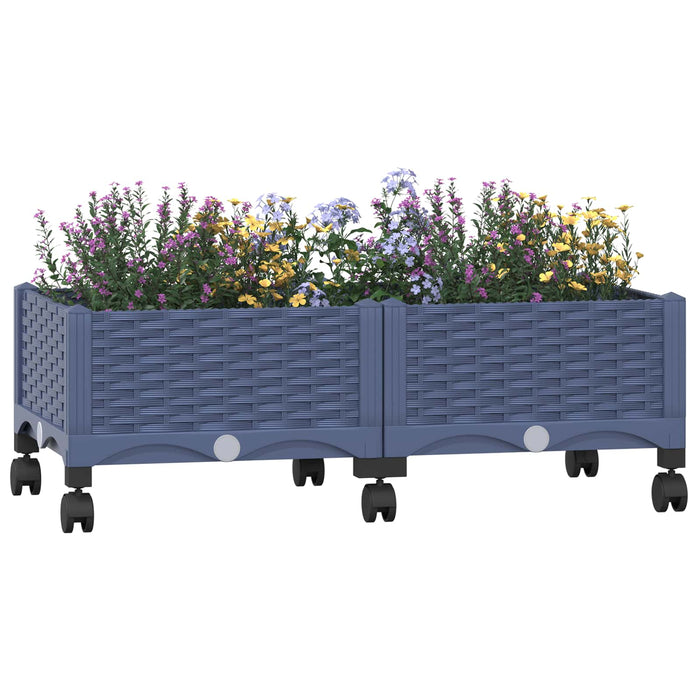 Ghiveci de grădină cu roți Gri Albastru 80 x 40 x 33 cm PP WALTI