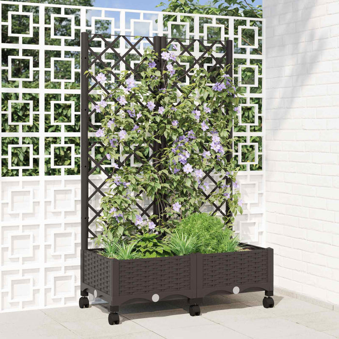 Vază de gradină cu spalier și roți Maro 80 x 40 x 131,5 cm PP WALTI