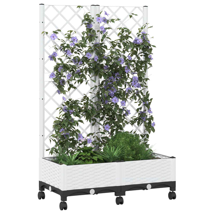 Vază de gradină cu spalier și roți Alb 80 x 40 x 131,5 cm PP WALTI