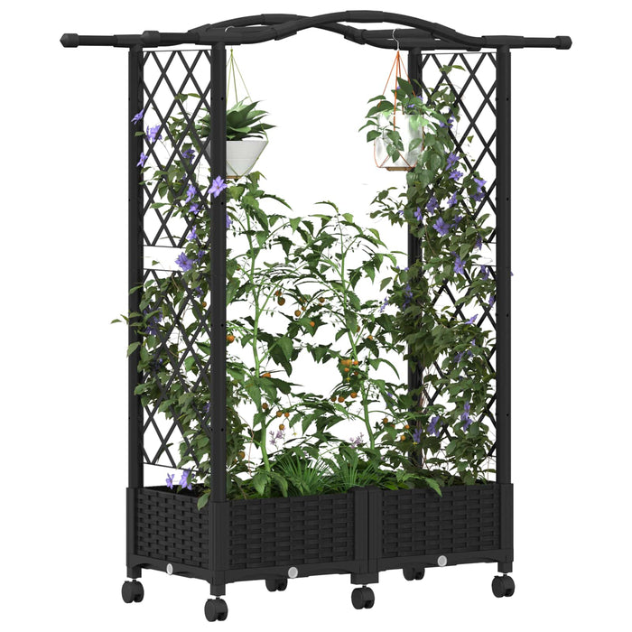 Pat Ridicat cu Trellis și Acoperiș Negru 124 x 40 x 129 cm PP - WALTI WALTI