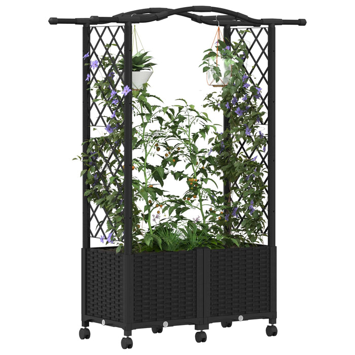 Pat Ridicat cu Trellis și Acoperiș Negru 125 x 40 x 144 cm PP - WALTI WALTI