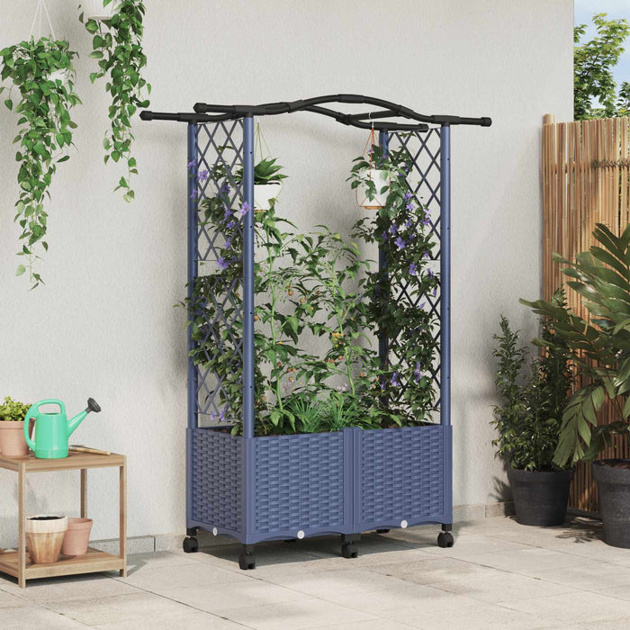 Pat Ridicat cu Trellis și Acoperiș Gri 125 x 40 x 144 cm PP - WALTI WALTI