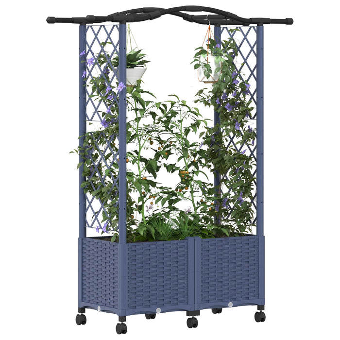 Pat Ridicat cu Trellis și Acoperiș Gri 125 x 40 x 144 cm PP - WALTI WALTI