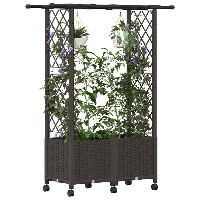 Pat Ridicat cu Trellis și Acoperiș Maro 124,5 x 40 x 142 cm PP WALTI