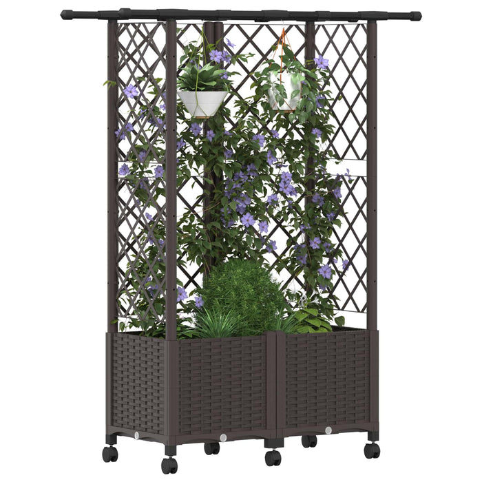 Pat Ridicat cu Trellis și Acoperiș Maro 124 x 40 x 142 cm PP WALTI