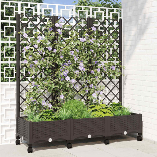 Vază de gradină cu spalier și roți Maro 120 x 40 x 131,5 cm PP - WALTI WALTI