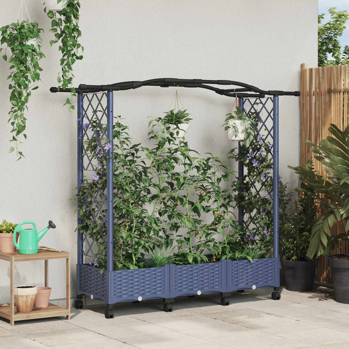 Pat Ridicat cu Trellis și Acoperiș Gri 169 x 40 x 129 cm PP WALTI