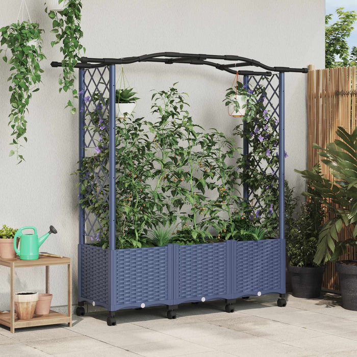 Pat Ridicat cu Trellis și Acoperiș Gri 164 x 40 x 144 cm PP WALTI