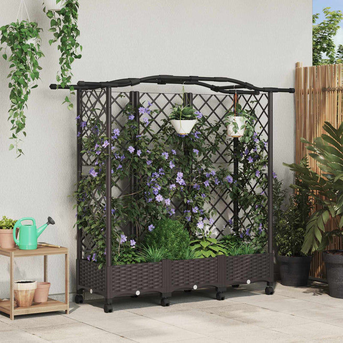 Pat Ridicat cu Trellis și Acoperiș Maro 163 x 40 x 129 cm PP WALTI