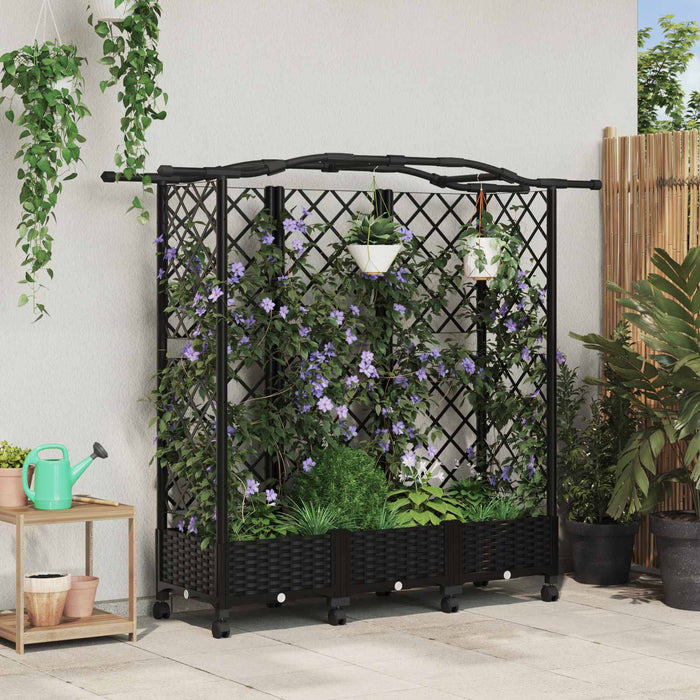 Pat Ridicat cu Trellis și Acoperiș Negru 163 x 40 x 129 cm PP WALTI