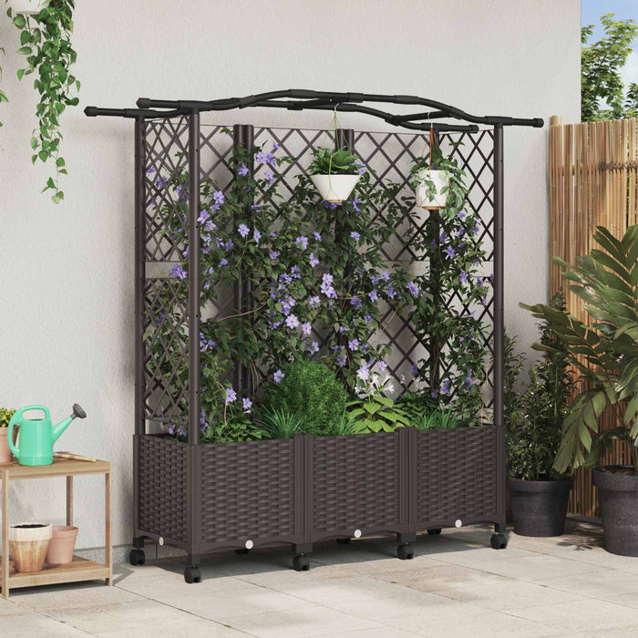 Pat Ridicat cu Trellis și Acoperiș Maro 163 x 40 x 144 cm PP - WALTI WALTI