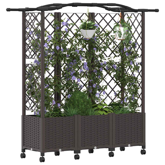 Pat Ridicat cu Trellis și Acoperiș Maro 163 x 40 x 144 cm PP - WALTI WALTI
