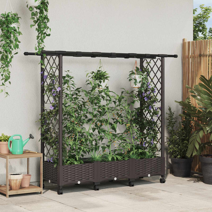 Pat Ridicat cu Trellis și Acoperiș Maro 164 x 40 x 127 cm PP - WALTI WALTI