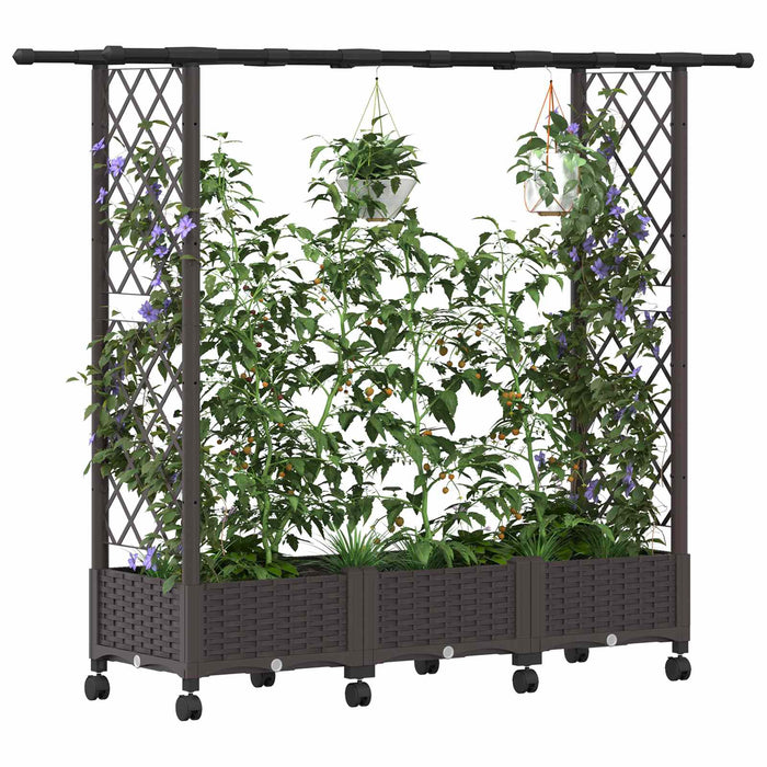 Pat Ridicat cu Trellis și Acoperiș Maro 164 x 40 x 127 cm PP - WALTI WALTI