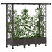 Pat Ridicat cu Trellis și Acoperiș Maro 164 x 40 x 127 cm PP - WALTI WALTI