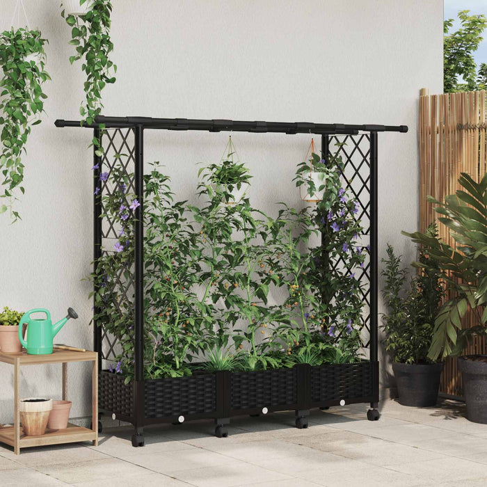 Pat Ridicat cu Trellis și Acoperiș Negru 164 x 40 x 127 cm PP - WALTI WALTI