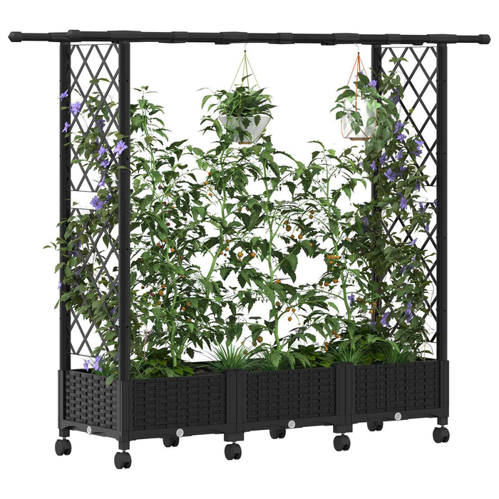 Pat Ridicat cu Trellis și Acoperiș Negru 164 x 40 x 127 cm PP - WALTI WALTI