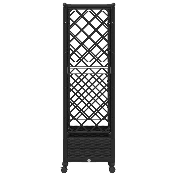 Pat Ridicat cu Trellis și Acoperiș Negru 164 x 40 x 127 cm PP - WALTI WALTI