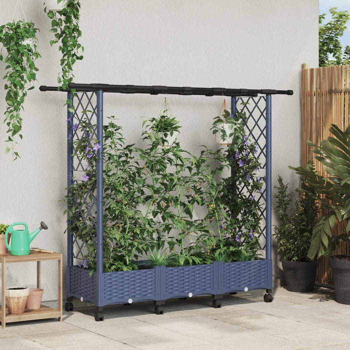 Pat Ridicat cu Trellis și Acoperiș Gri 164 x 40 x 127 cm PP - WALTI WALTI