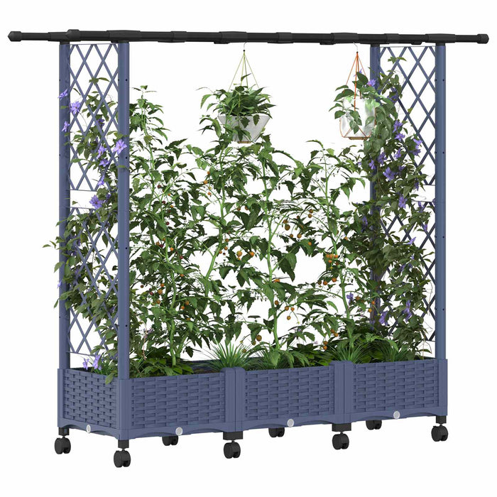 Pat Ridicat cu Trellis și Acoperiș Gri 164 x 40 x 127 cm PP - WALTI WALTI