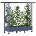 Pat Ridicat cu Trellis și Acoperiș Gri 164 x 40 x 127 cm PP - WALTI WALTI