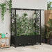 Pat Ridicat cu Trellis și Acoperiș Negru 162,5 x 40 x 142 cm PP - WALTI WALTI