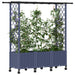 Pat Ridicat cu Trellis și Acoperiș Gri 162,5 x 40 x 142 cm PP - WALTI WALTI