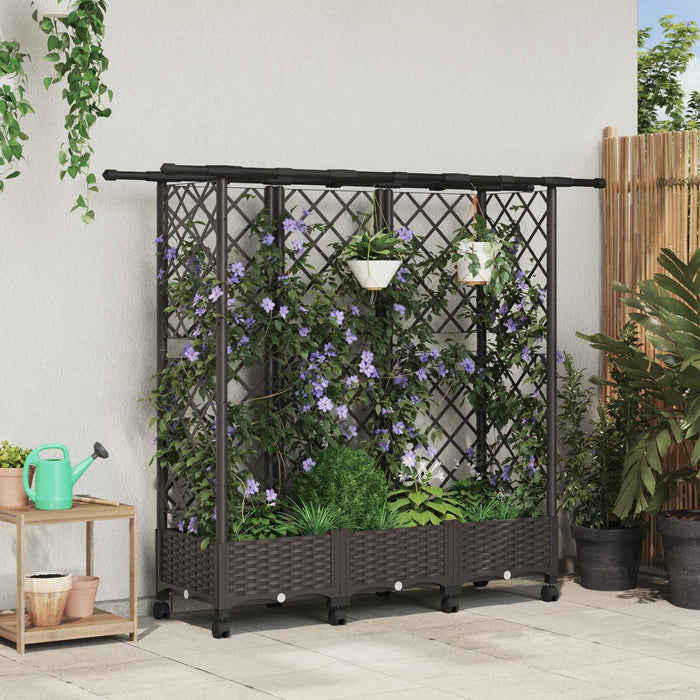 Pat Ridicat cu Trellis și Acoperiș Maro 164 x 40 x 127 cm PP - WALTI WALTI
