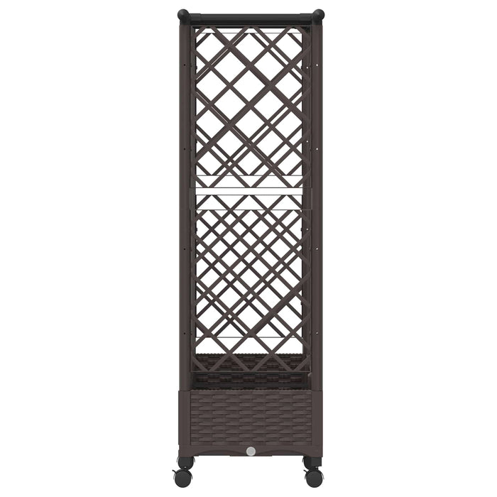 Pat Ridicat cu Trellis și Acoperiș Maro 164 x 40 x 127 cm PP - WALTI WALTI