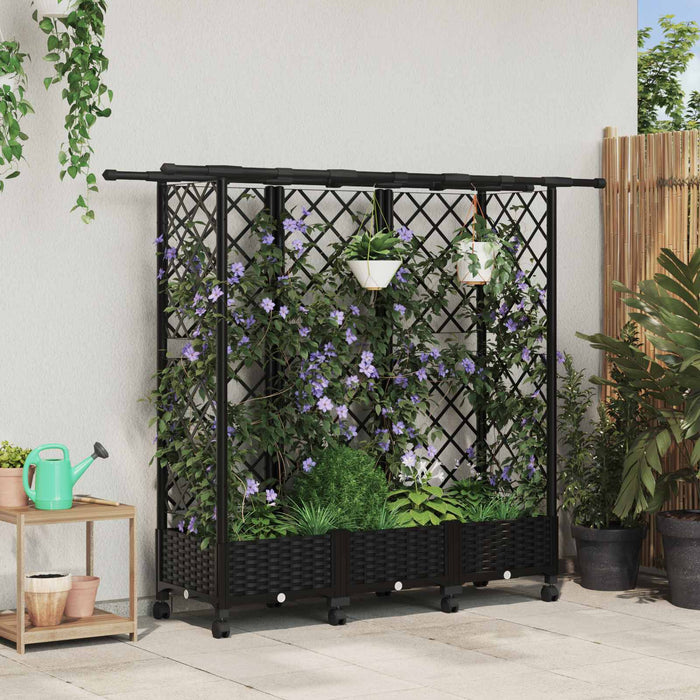 Pat Ridicat cu Trellis și Acoperiș Negru 164 x 40 x 127 cm PP - WALTI WALTI