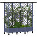 Pat Ridicat cu Trellis și Acoperiș Gri 164 x 40 x 127 cm PP - WALTI WALTI