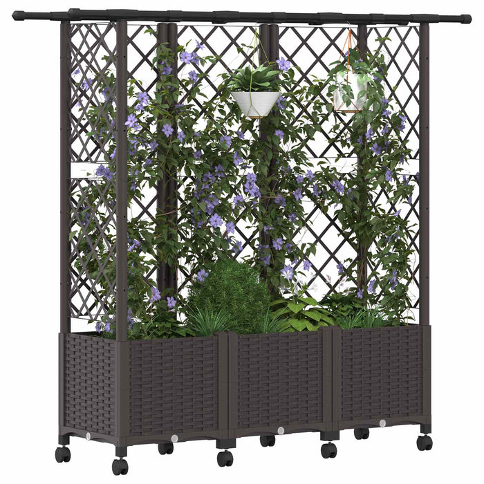 Pat Ridicat cu Trellis și Acoperiș Maro 163,5 x 40 x 142 cm PP - WALTI WALTI