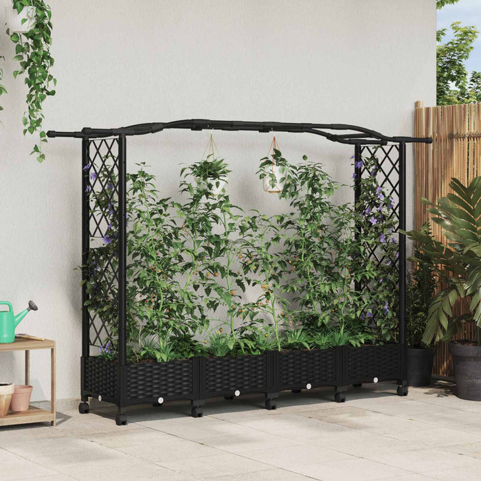 Pat Ridicat cu Trellis și Acoperiș Negru 207 x 40 x 129 cm PP - WALTI WALTI