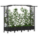 Pat Ridicat cu Trellis și Acoperiș Negru 207 x 40 x 129 cm PP - WALTI WALTI