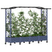 Pat Ridicat cu Trellis și Acoperiș Gri 207 x 40 x 129 cm PP - WALTI WALTI