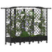 Pat Ridicat cu Trellis și Acoperiș Negru 203,5 x 40 x 129 cm PP - WALTI WALTI