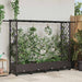 Pat Ridicat cu Trellis și Acoperiș Maro 203 x 40 x 127 cm PP - WALTI WALTI