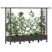 Pat Ridicat cu Trellis și Acoperiș Maro 203 x 40 x 127 cm PP - WALTI WALTI