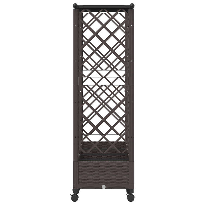 Pat Ridicat cu Trellis și Acoperiș Maro 203 x 40 x 127 cm PP - WALTI WALTI