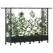 Pat Ridicat cu Trellis și Acoperiș Negru 203 x 40 x 127 cm PP - WALTI WALTI