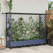 Pat Ridicat cu Trellis și Acoperiș Gri 203 x 40 x 127 cm PP - WALTI WALTI