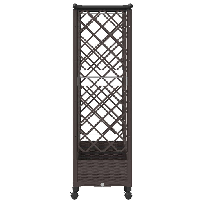 Pat Ridicat cu Trellis și Acoperiș Maro 202,5 x 40 x 127 cm PP - WALTI WALTI