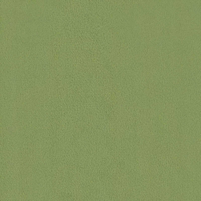 Set de canapea 2 buc. Verde deschis Catifea WALTI