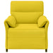 Canapea 100% poliester, cadru din metal, MDF, placaj - WALTI WALTI