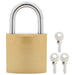 U Lock cu Chei 6 pcs Alamă Fier - WALTI WALTI