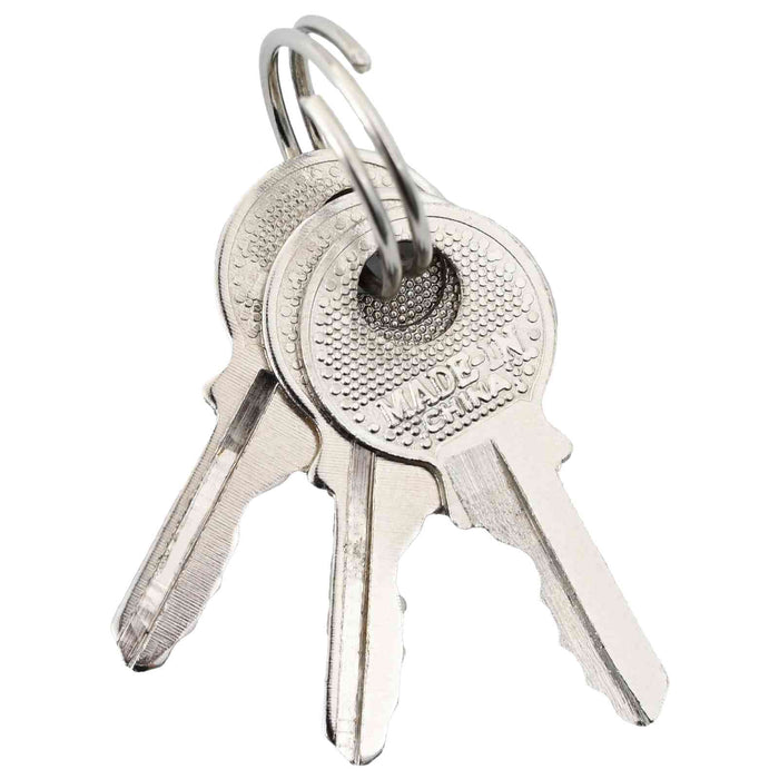 U Lock cu Chei 2 pcs Alamă Fier - WALTI WALTI