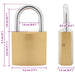 U Lock cu Chei 12 pcs Alamă Fier - WALTI WALTI